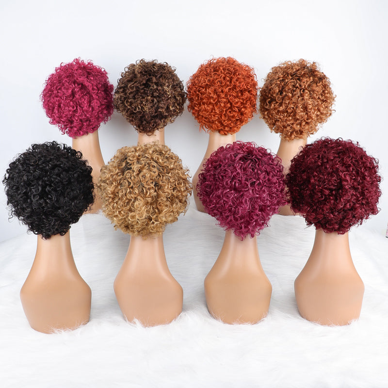 SendeHair Cheap Pixie Curly Super Double Draw 100% Human Raw Hair A Riot Of Colours With 13×1 Lace Short Wig