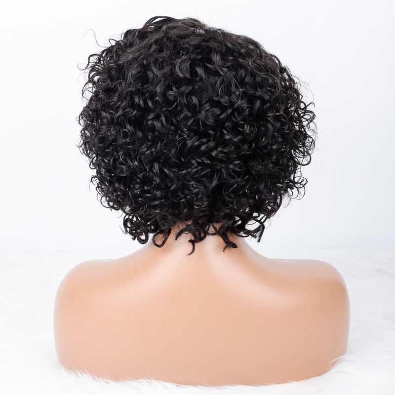 SendeHair Hotselling Human Hair Lace Front Wigs For Black Women Top Quality Jerry Curl Raw Indian Hair Wigs