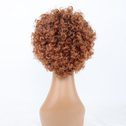 SendeHair Cheap  Pixie Curly Super Double  Draw  100% Human Raw Hair A Riot Of Colours With 13×1 Lace Short  Wig