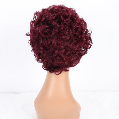 SendeHair Cheap  Big  Pixie Curly Super Double  Draw  100% Human Raw Hair A Riot Of Colours With 13×1 Lace Short  Wig