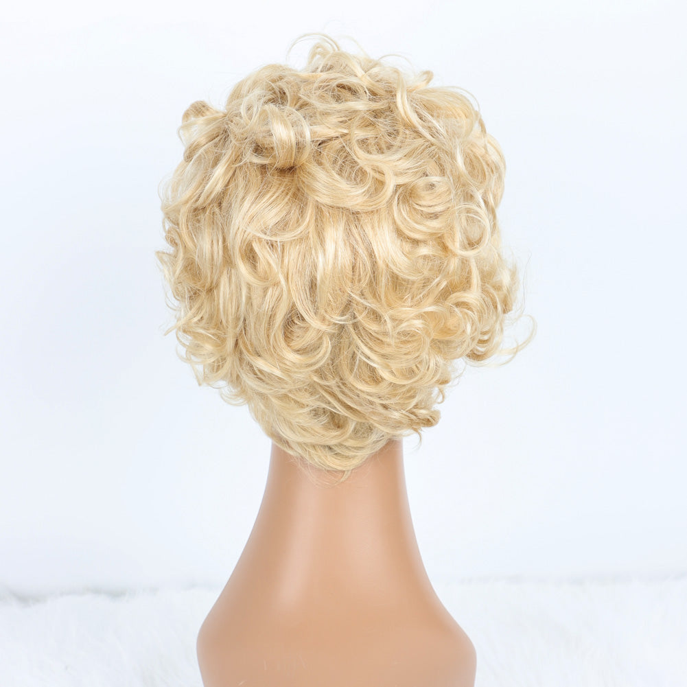 SendeHair Cheap  Big  Pixie Curly Super Double  Draw  100% Human Raw Hair A Riot Of Colours With 13×1 Lace Short  Wig